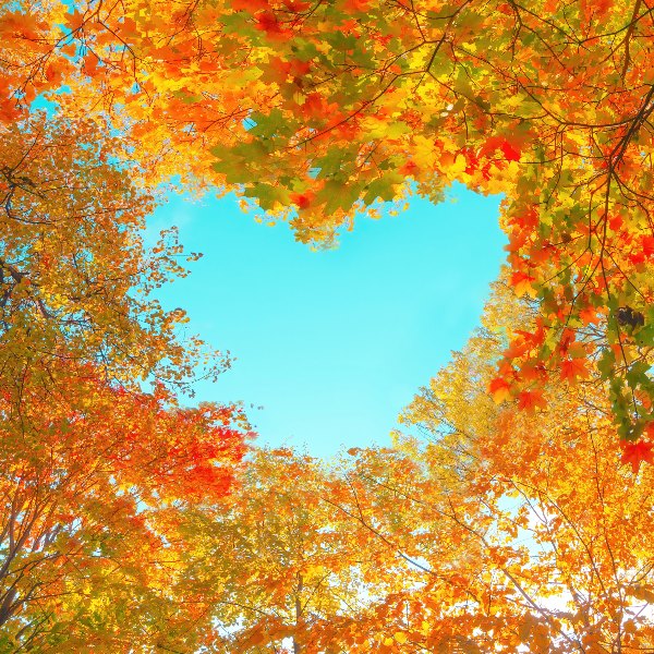 暦の上では秋ですね。お肉の調理の際気を付けたいこと。