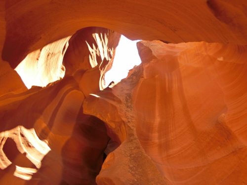 肉のオノ トマホーク