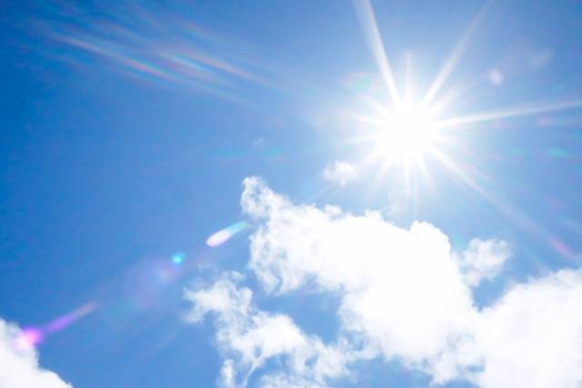 暑い夏+カレー+お肉=???