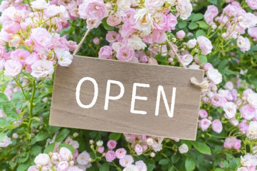 the niku box 始まります!