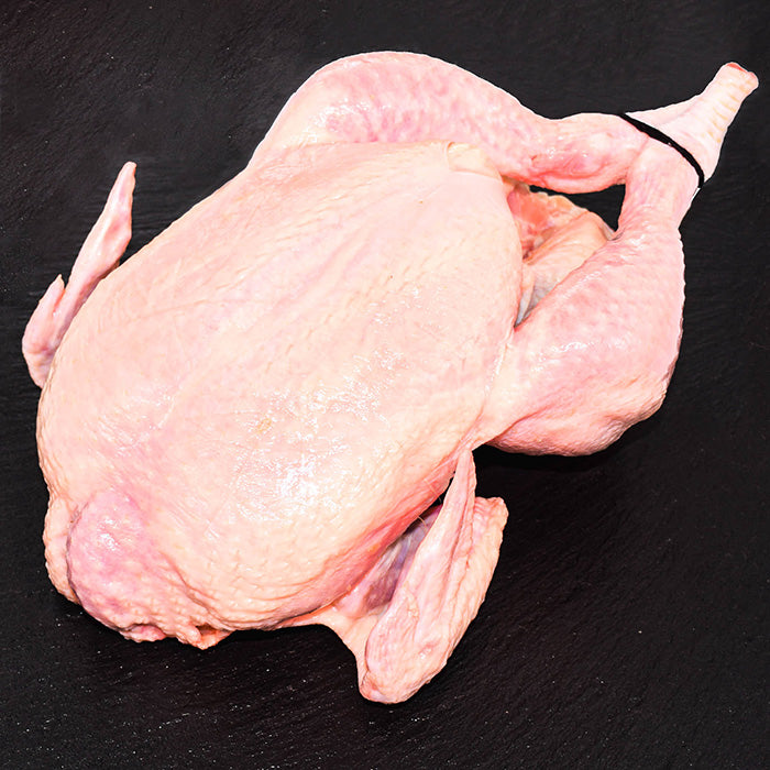 ブランド鶏 国産 鶏まるごと1羽 1.3kg